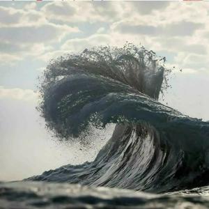 网站污黄操逼wwwwwwww
