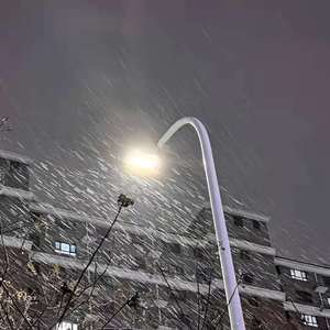 网站污黄操逼wwwwwwww
