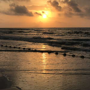 网站污黄操逼wwwwwwww
